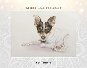 Rat Terrier Portraits