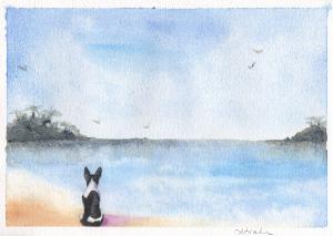 Rattie at sea