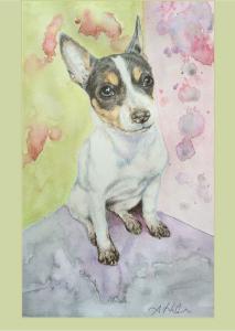 Piper-Bleu