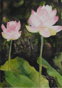 Lotus Pond III