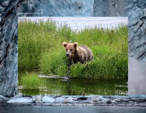 Katmai Brooks Falls Bears - Calendar 2027