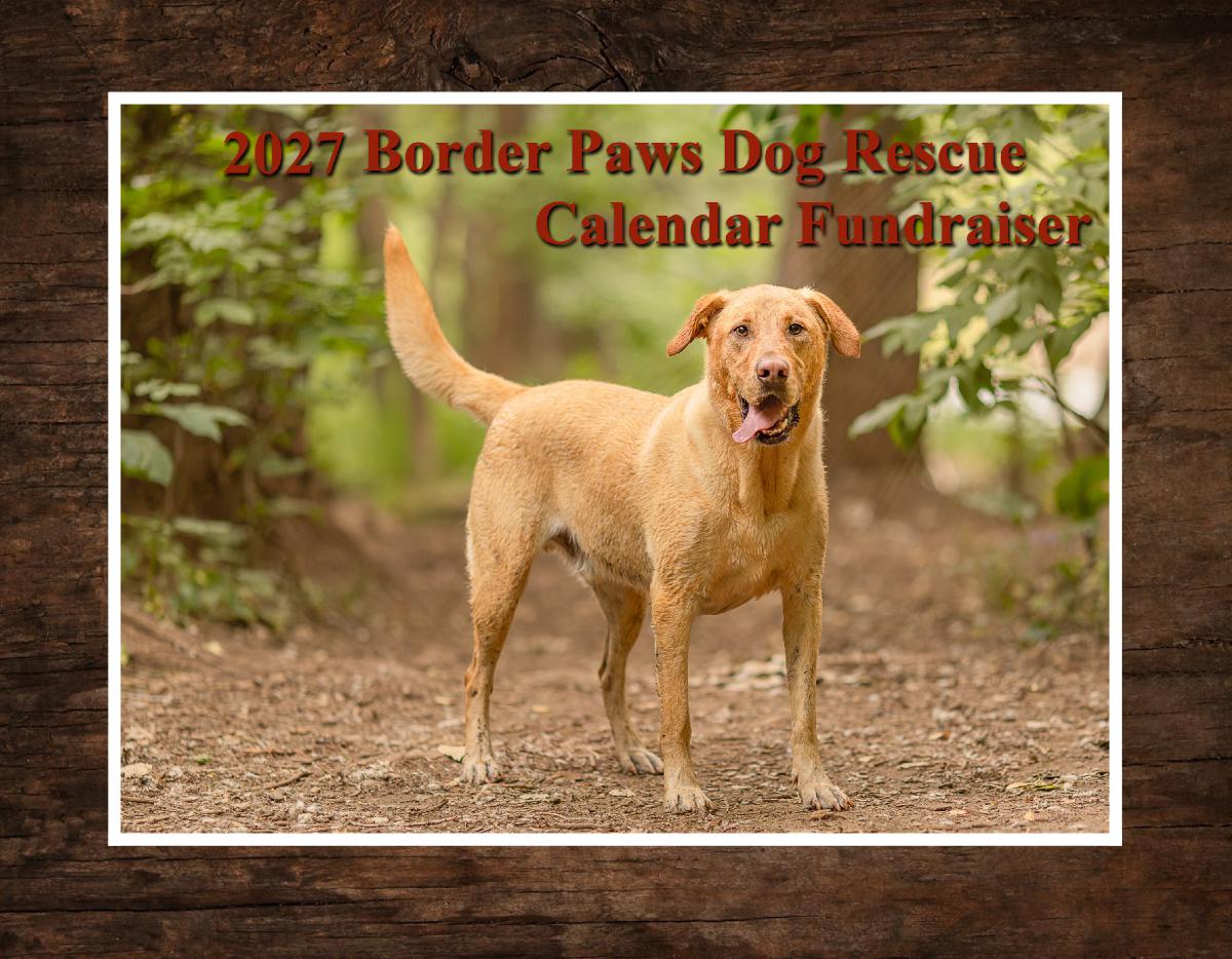 2027 Border Paws Dog Rescue Fundraiser