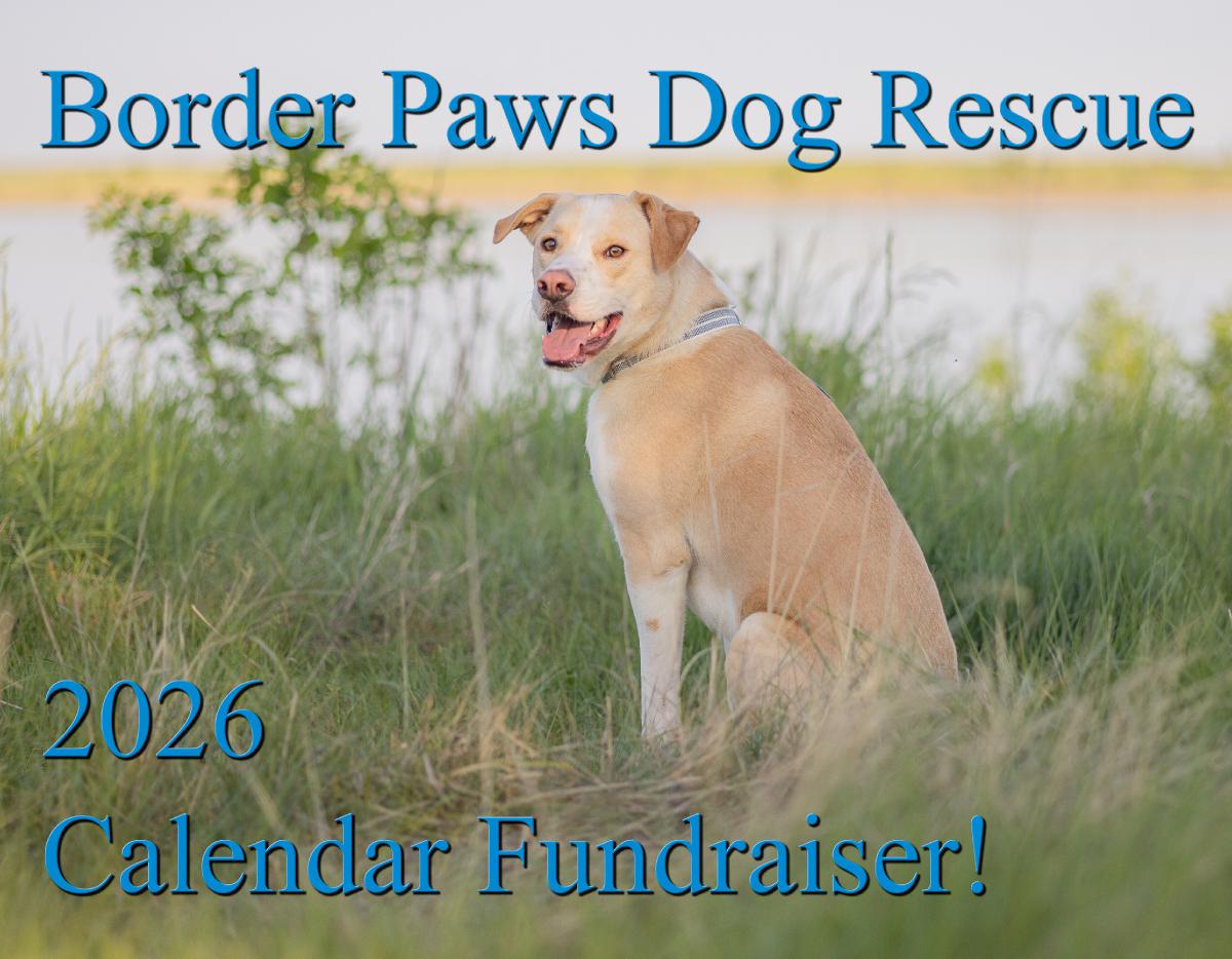 Border Paws Dog Rescue Fundraiser 2026 Calendar