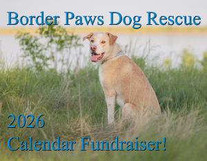 Border Paws Dog Rescue Fundraiser 2026 Calendar