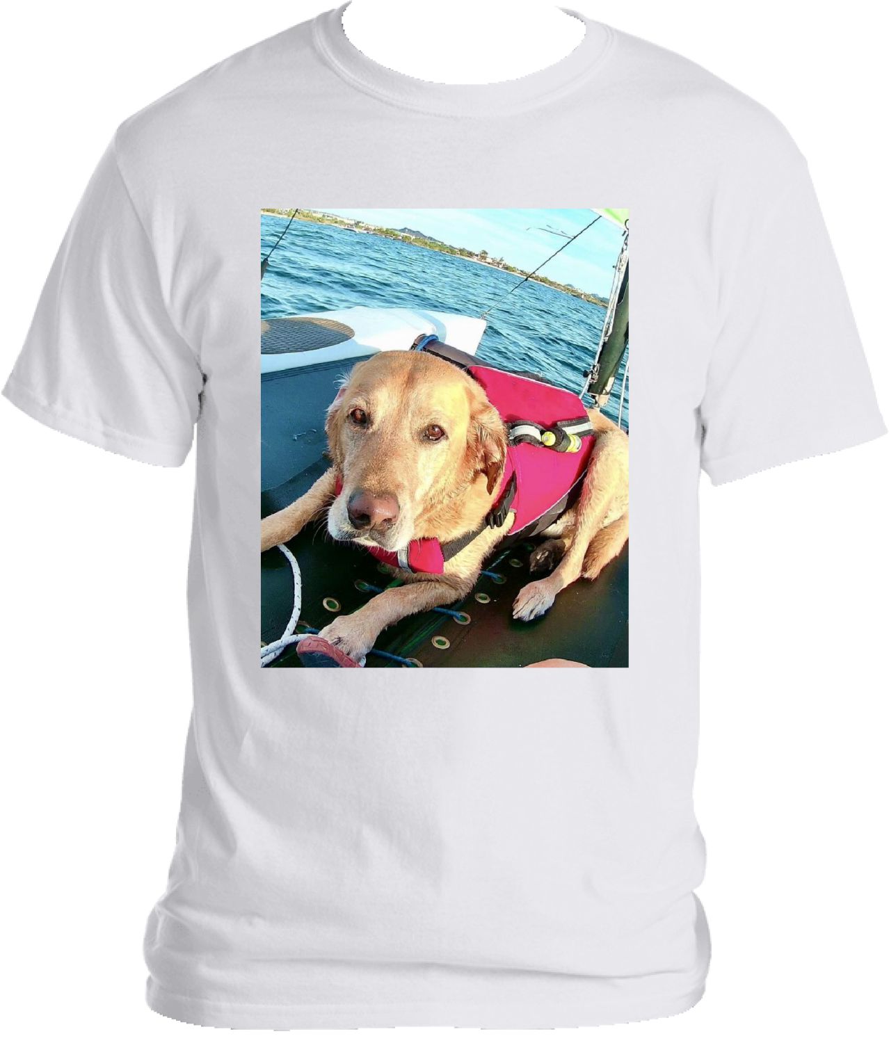 Little Knight Sailing Wht TShirt