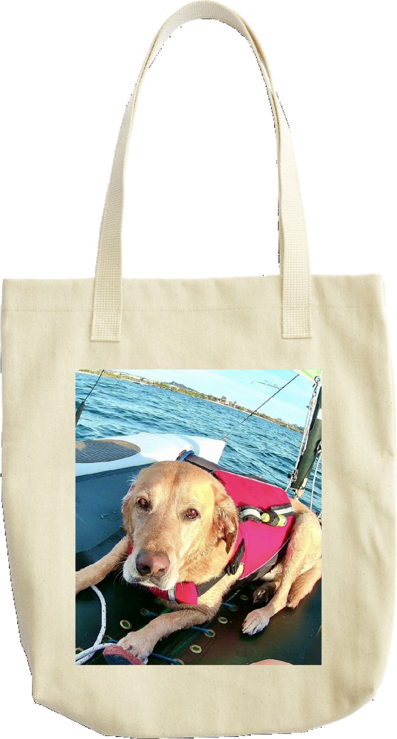 Little Knight Sailing Tote Bag