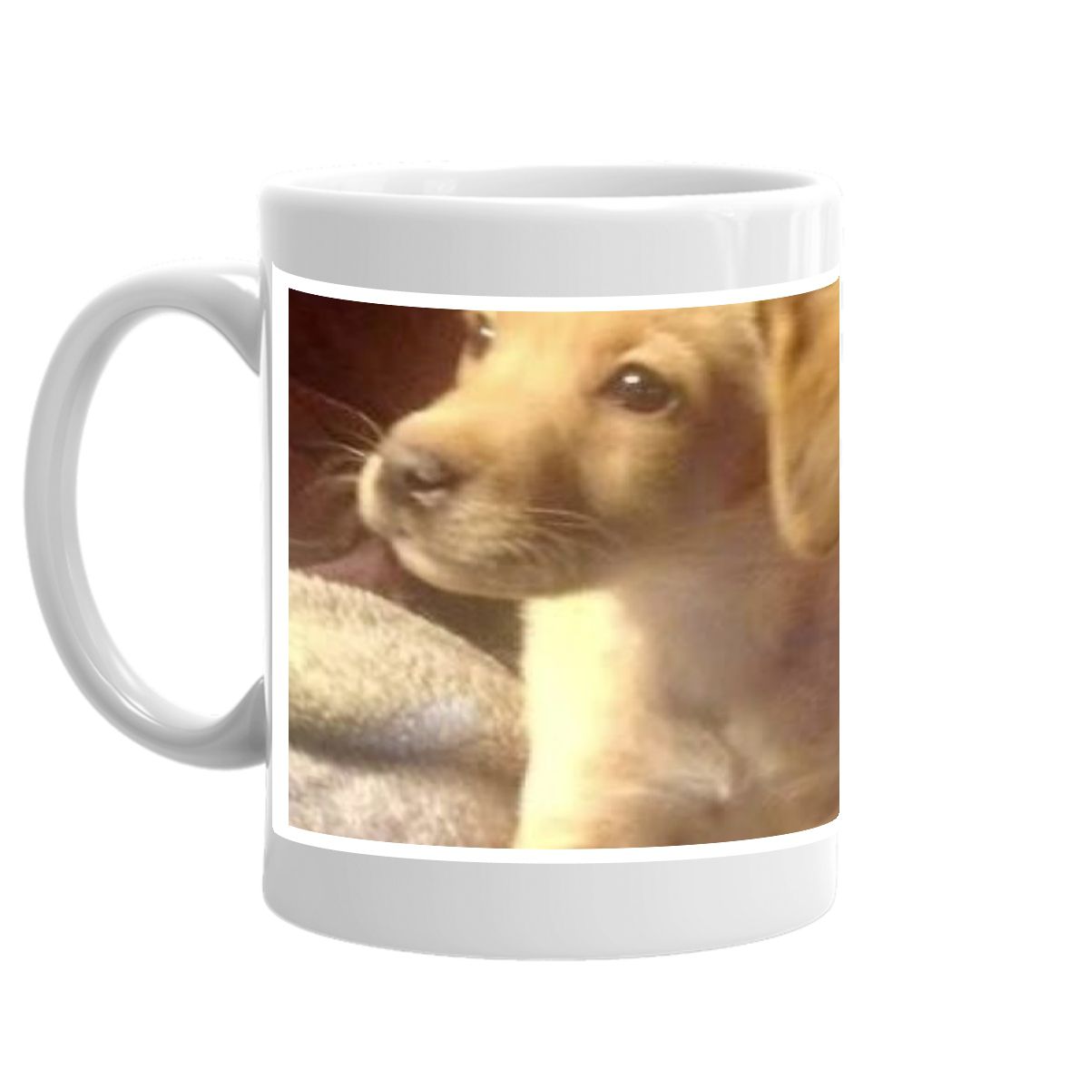 Little Knight Puppy