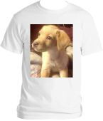 Little Knight Puppy Wht TShirt