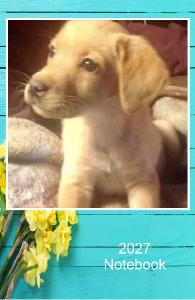 Little Knight Puppy 2027 Notebook