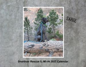 Shorthair Rescue 2027 Calendar