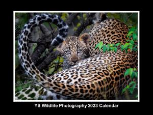 YS Wildlife Photography 2023 Calendar
