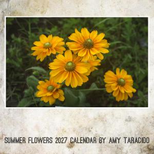 Summer Flowers 2027 calendar by Amy Taracido