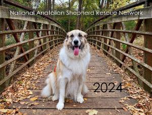 2024 Anatolian Rescue Calendar
