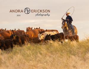 Andra Erickson Photography 2026