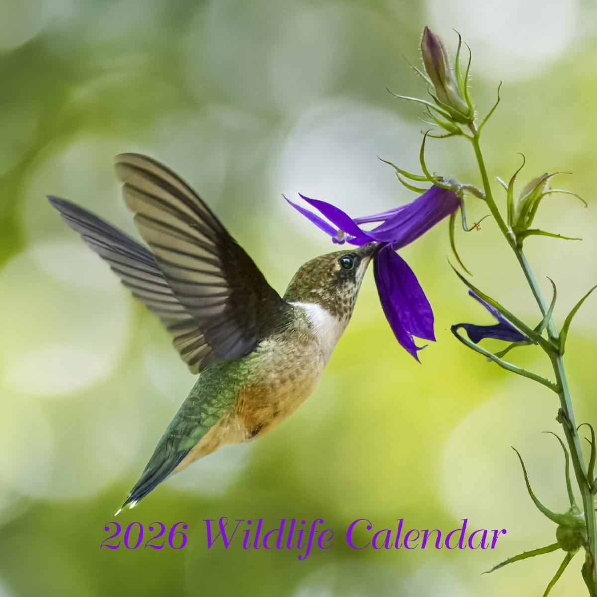 Angela Johnson Wildlife 2026 Calendar