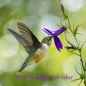 Angela Johnson Wildlife 2026 Calendar