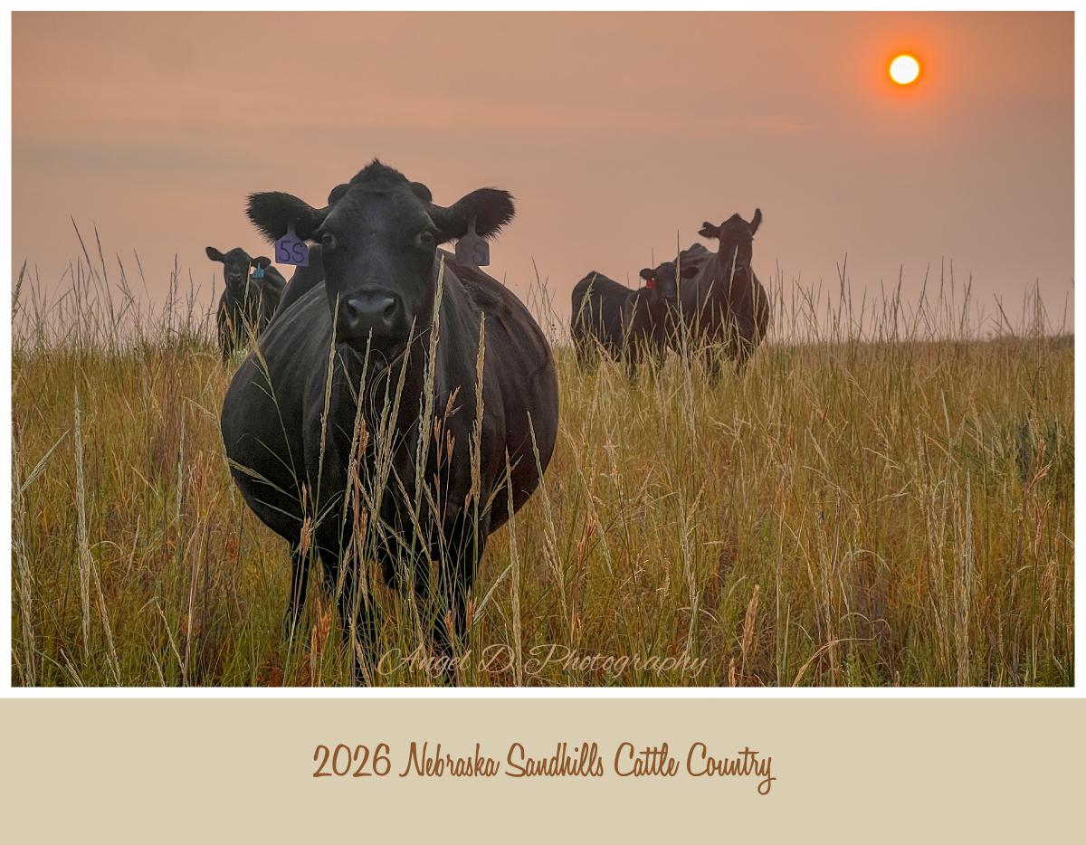 2026 Nebraska Sandhills Cattle Country