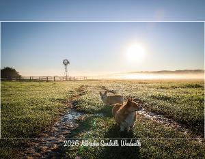 2026 Nebraska Sandhills Windmills