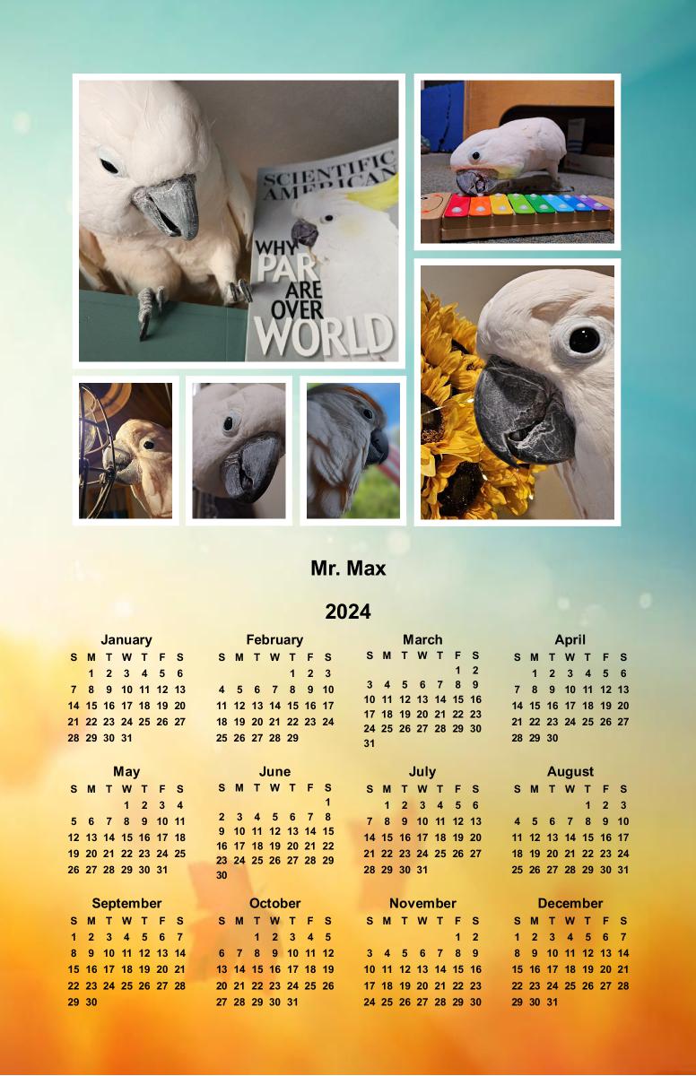 Mr. Max Photo Poster Calendar 2024