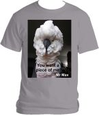 Mr Max - You want a piece of me