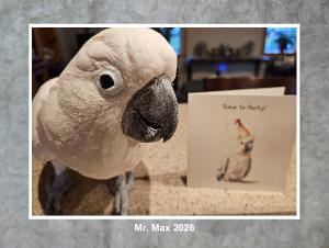 Mr. Max - Calendar 2026