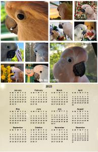 Mr. Max 2023 11x17 Calendar