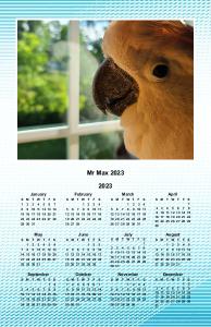 Mr Max 2023 11x17 Calendar
