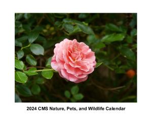 CMS Nature, Wildlife and Pets 2024 Calendar