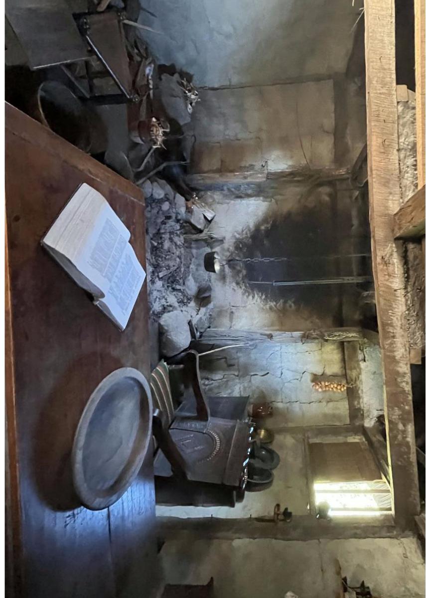 Primitive Interior 4