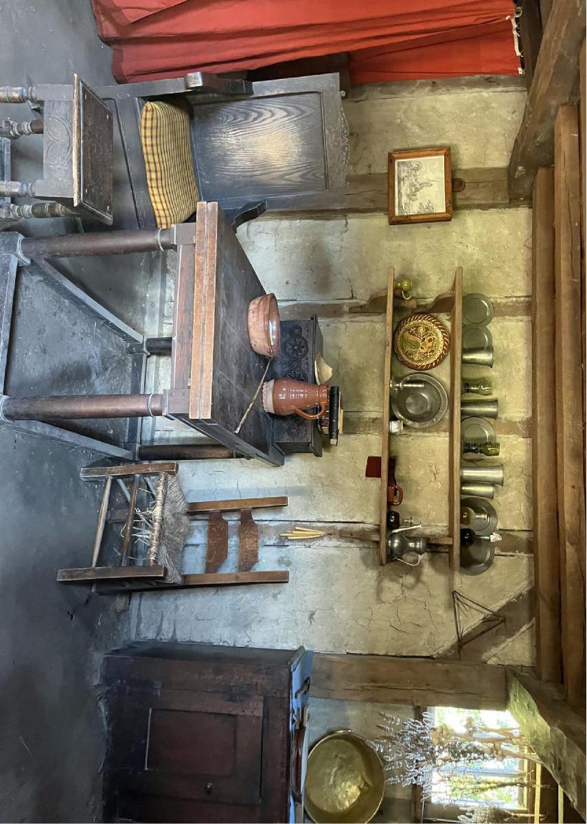 Primitive Interior 11