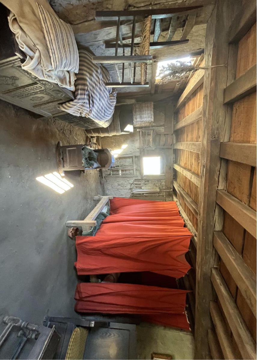 Primitive Interior 9