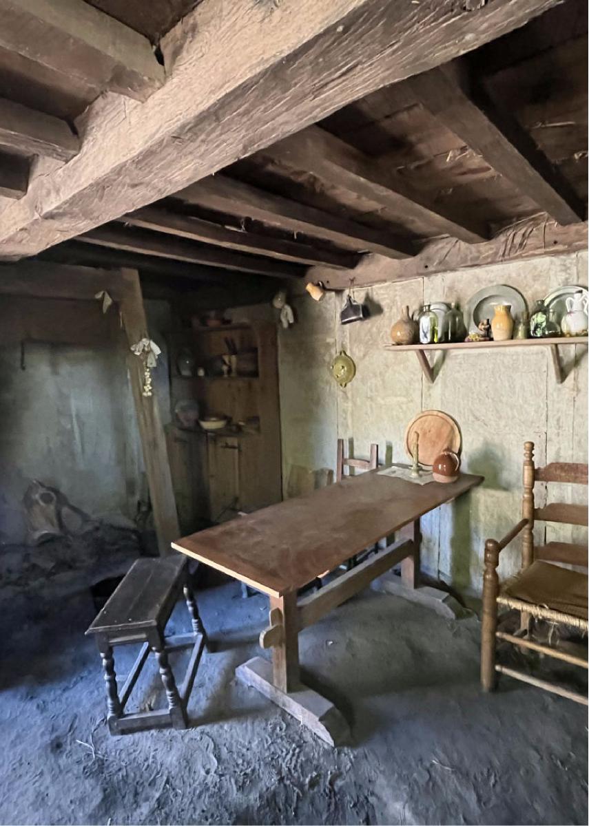 Primitive Interior 2