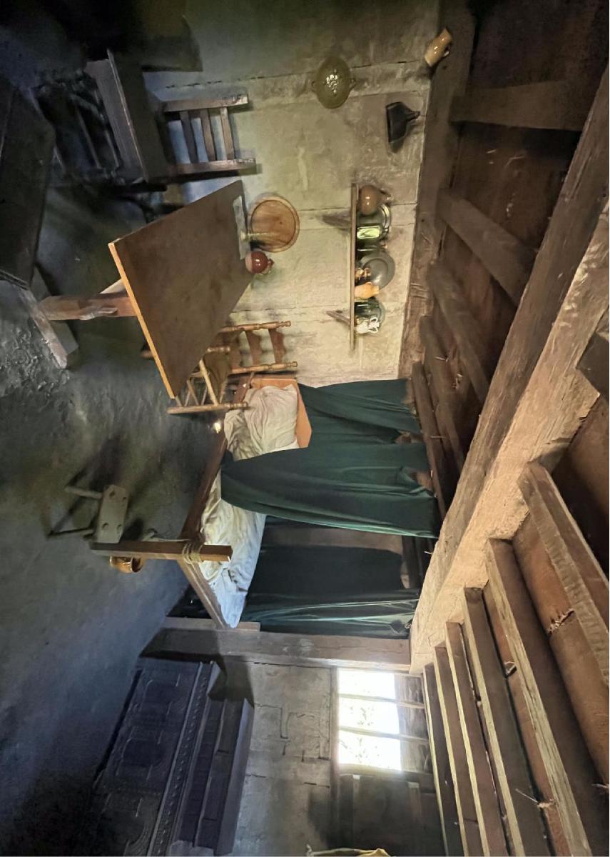 Primitive Interior 3