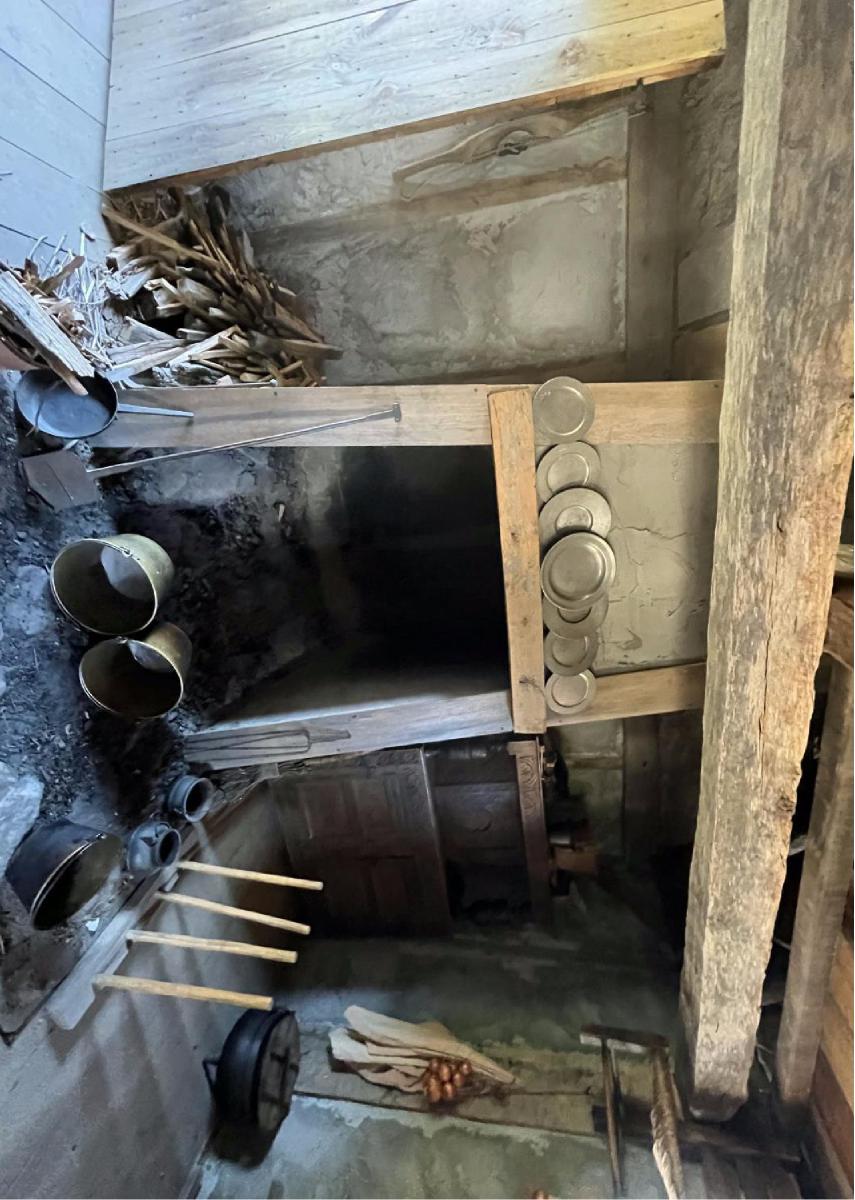 Primitive Interior 8