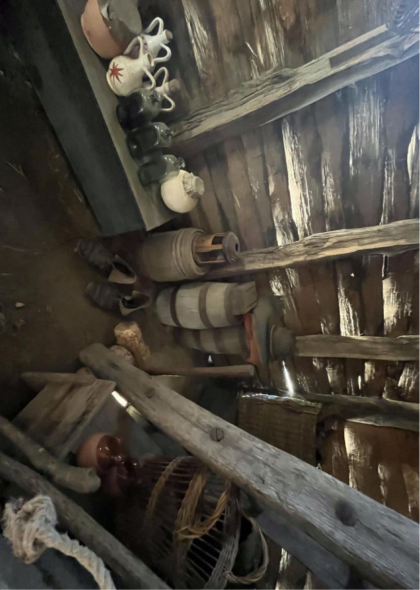 Primitive Interior 6