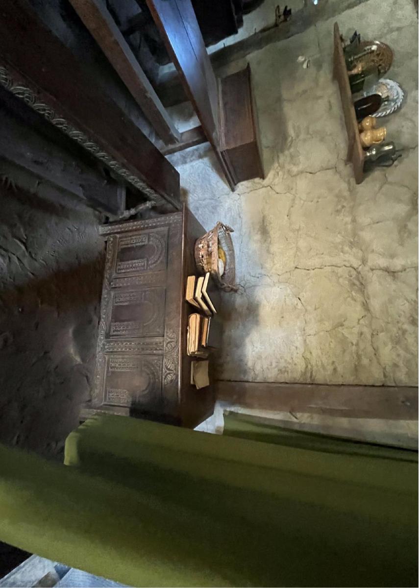 Primitive Interior 5