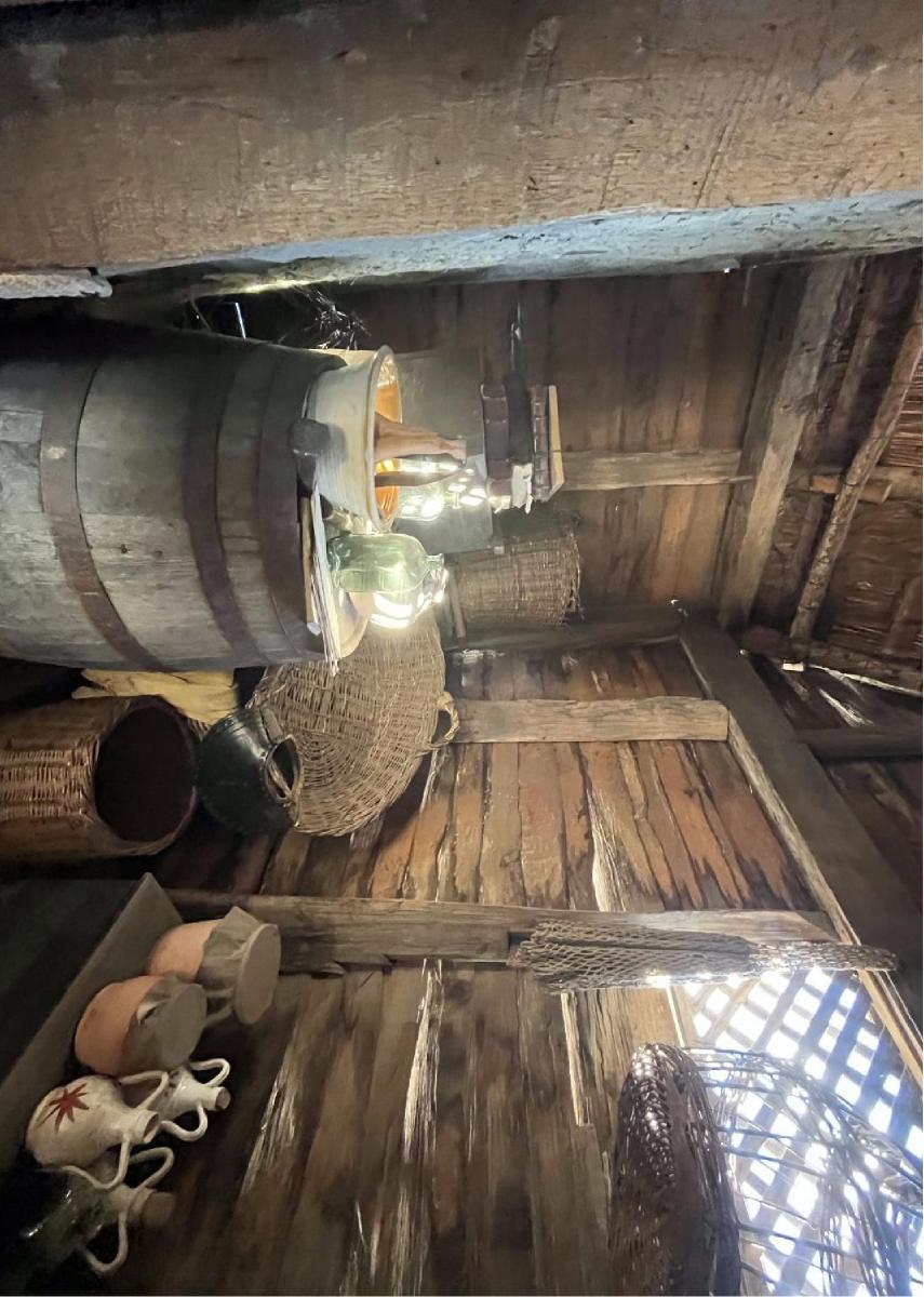 Primitive Interior 7