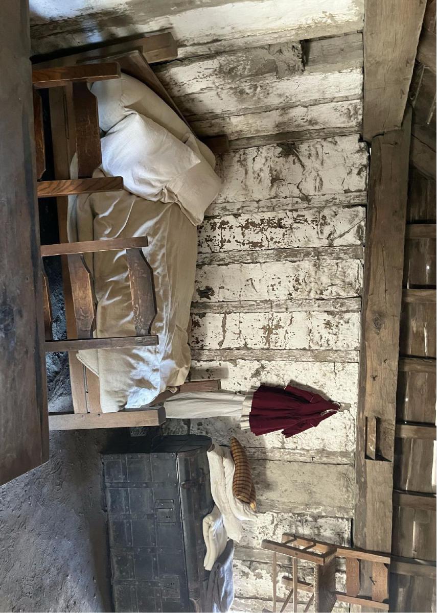 Primitive Interior 13