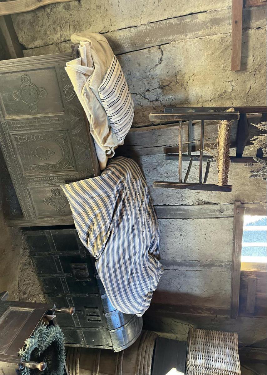 Primitive Interior 10