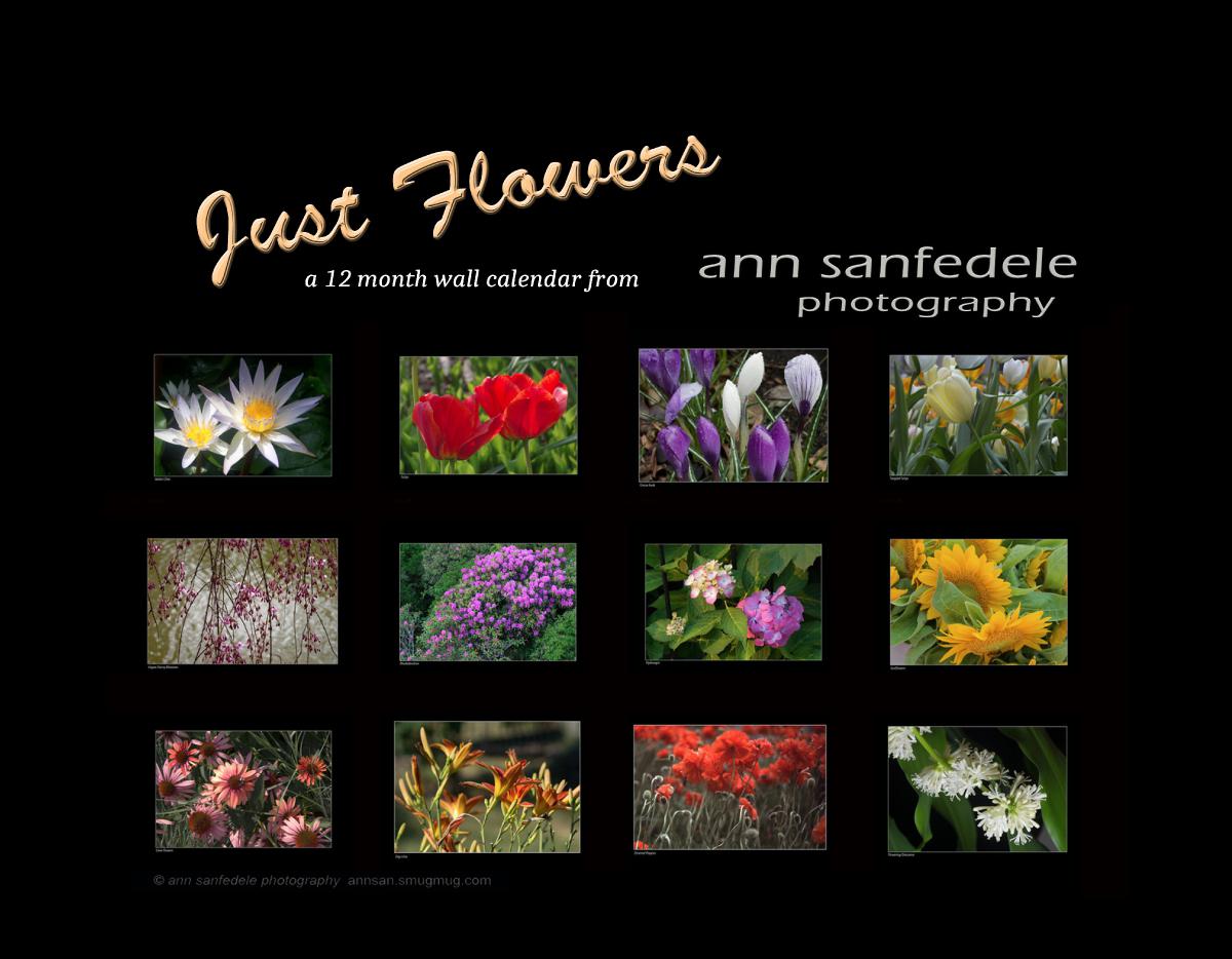 Just Flowers - a 12 month wall calendar