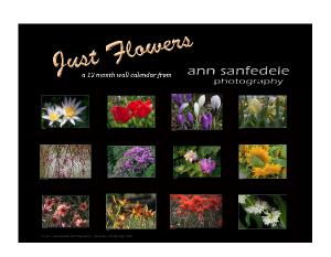 Just Flowers - a 12 month wall calendar