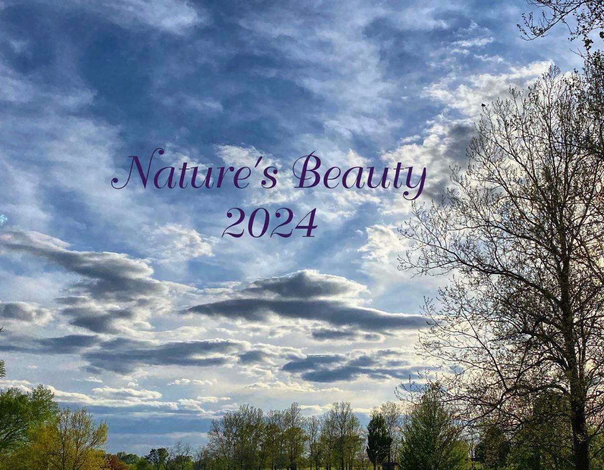 Nature's Beauty 2024