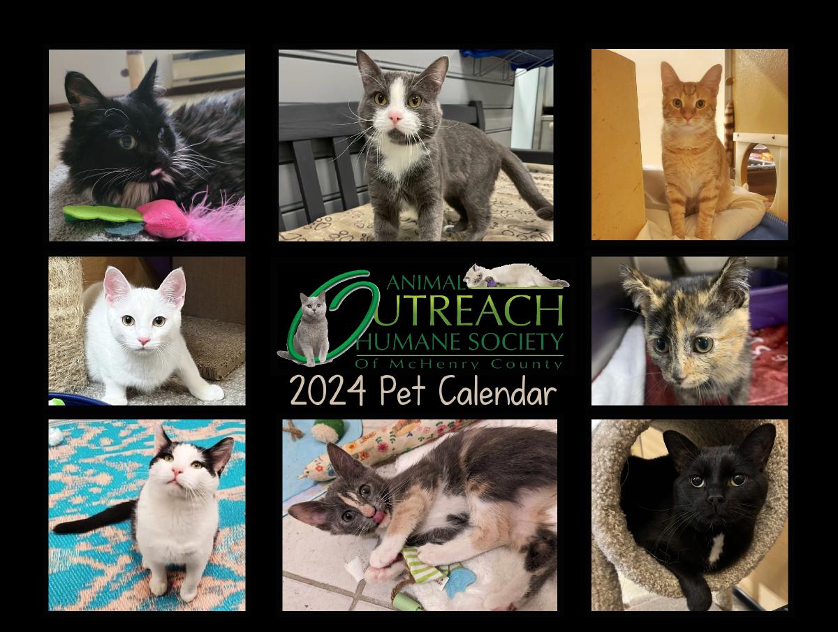 2024 Animal Outreach Pet Calendar