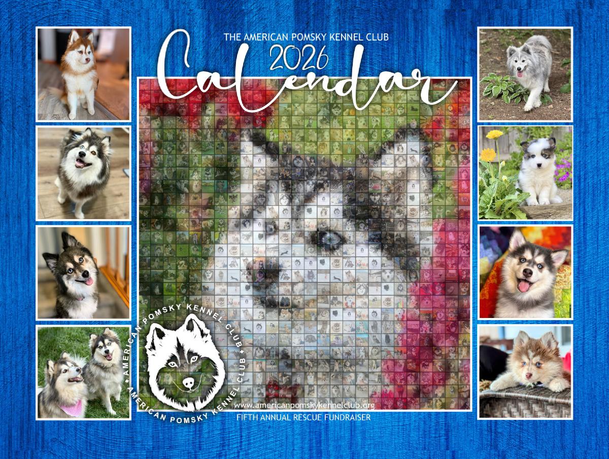2026 APKC Calendar - Rescue Fundraiser