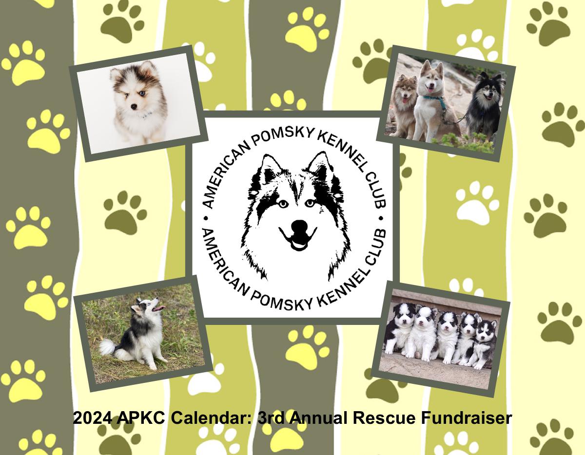 2024 APKC Calendar-Pomsky Rescue Fundraiser