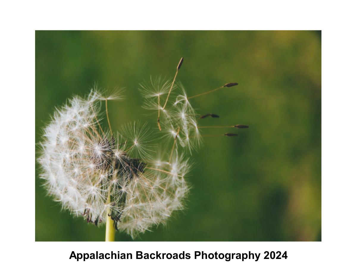 2024 Appalachian Backroads Photography Calendar