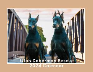 2024 Utah Doberman Rescue Calendar