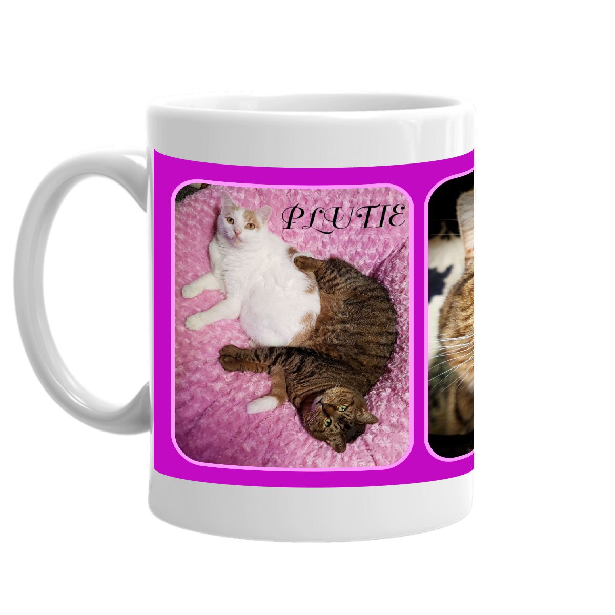 PLUTIE & BROWNIE COFFEE MUG