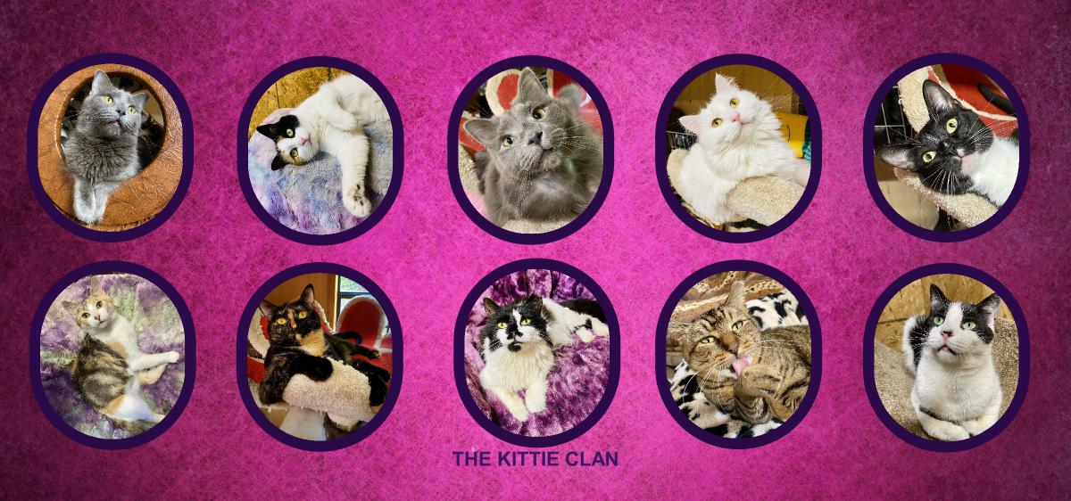 KITTIE CLAN DESK CALENDAR 18-MONTH