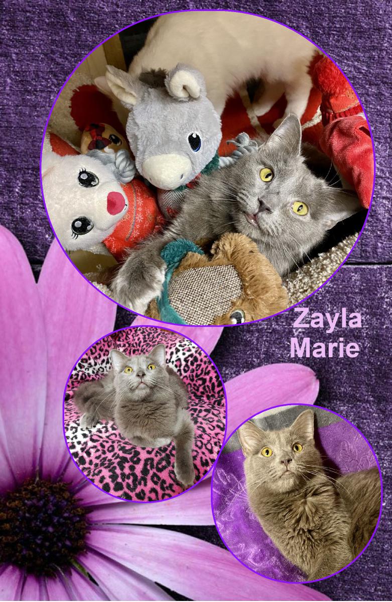 ZAYLA MARIE NOTEBOOK